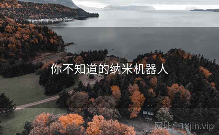 你不知道的纳米机器人